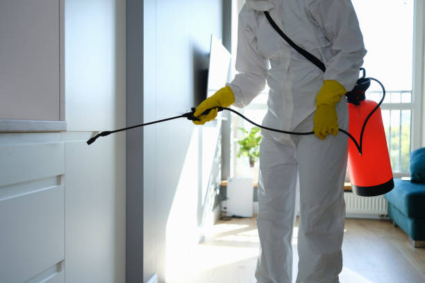Best Toxic Mold Removal  in Winter Garden, FL